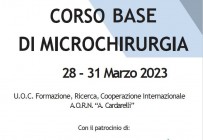 Corso Base di Microchirurgia